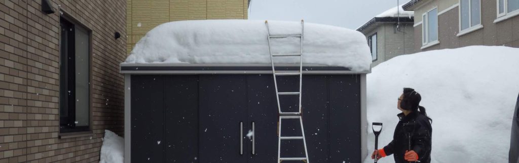 雪かき・窓の掘りだし・雪おろし